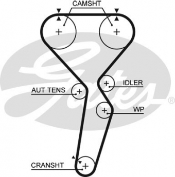 CINGHIA SERVIZI AUSILIARI
