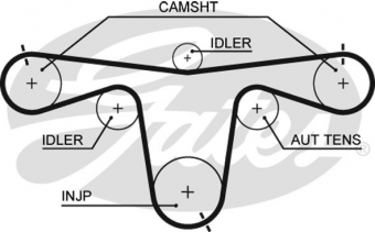 CINGHIA SERVIZI AUSILIARI