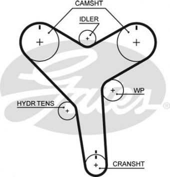CINGHIA SERVIZI AUSILIARI
