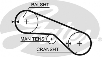 CINGHIA SERVIZI AUSILIARI