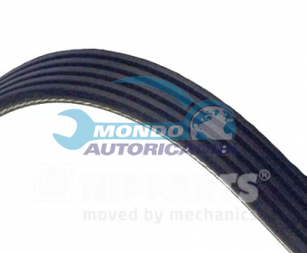 CINGHIA SERVIZI AUSILIARI