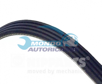 CINGHIA SERVIZI AUSILIARI