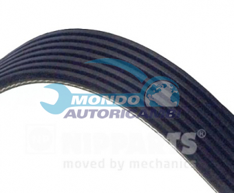 CINGHIA SERVIZI AUSILIARI