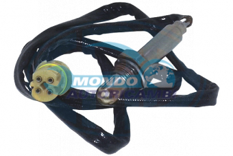 SONDA LAMBDA, SENSORE OSSIGENO