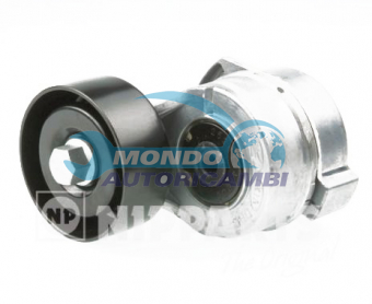 TENDICINGHIA CINGHIA SERVIZI