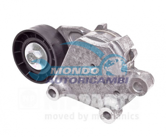 TENDICINGHIA CINGHIA SERVIZI