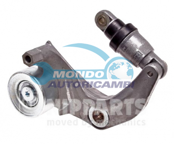 TENDICINGHIA CINGHIA SERVIZI