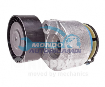 TENDICINGHIA CINGHIA SERVIZI