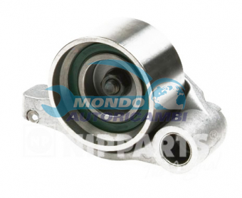 TENDICINGHIA DISTRIBUZIONE