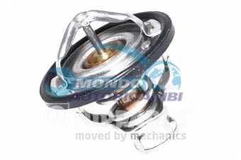 TERMOSTATO, TERMOINTERRUTTORE