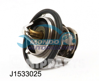 TERMOSTATO, TERMOINTERRUTTORE