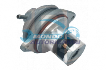 VALVOLA EGR, DSIPOSITIVO CONTROLLO EMISSIONE SCARICO, GRUPPO EGR, VALVOLA RICIRCOLAZIONE GAS, VALVOLA RICIRCOLO GAS SCARICO
