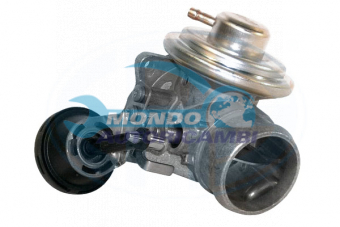 VALVOLA EGR, DSIPOSITIVO CONTROLLO EMISSIONE SCARICO, GRUPPO EGR, VALVOLA RICIRCOLAZIONE GAS, VALVOLA RICIRCOLO GAS SCARICO