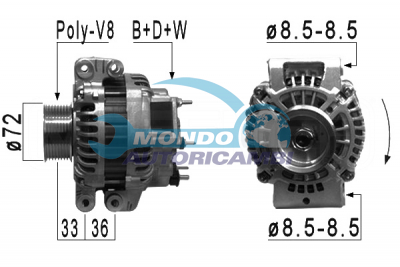 ALTERNATORE