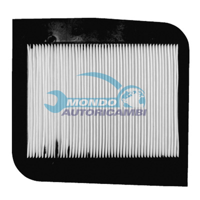 FILTRO ABITACOLO ANTIPOLLINE MICRONAIR