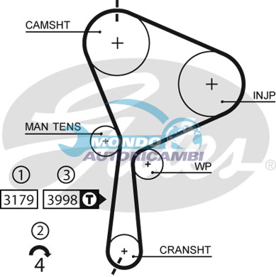 Timing Belt