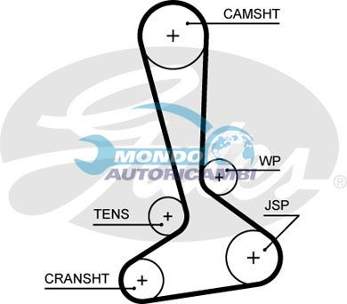 Timing Belt