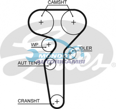 Timing Belt