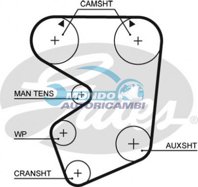 Timing Belt