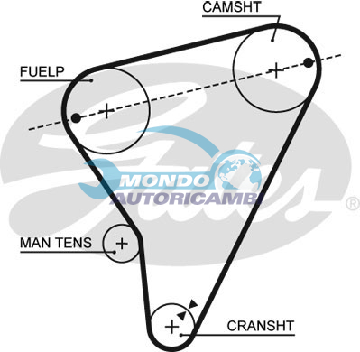 Timing Belt