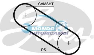 Timing Belt