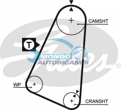 Timing Belt