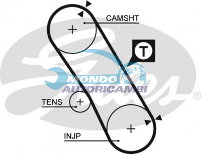 Timing Belt