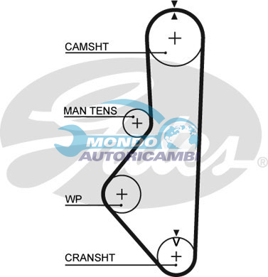 Timing Belt