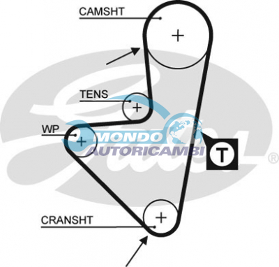 Timing Belt