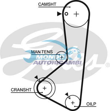 Timing Belt