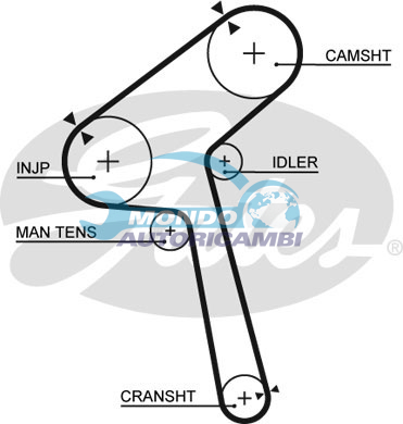 Timing Belt