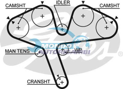 Timing Belt