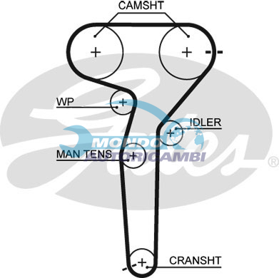 Timing Belt