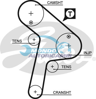 Timing Belt