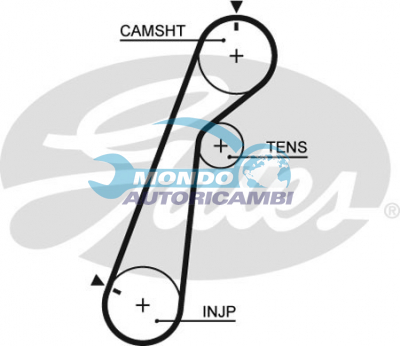 Timing Belt