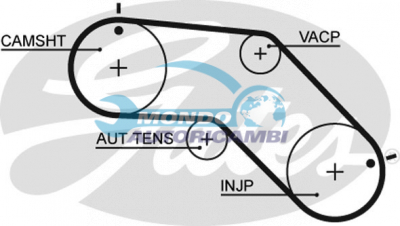 Timing Belt