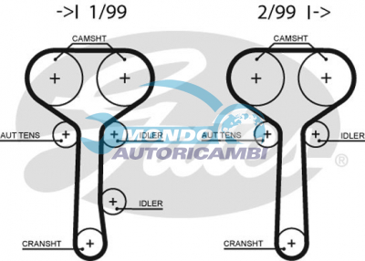 Timing Belt