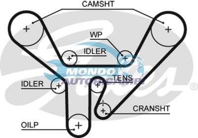 Timing Belt