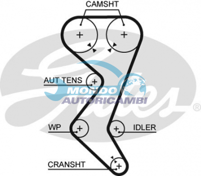 Timing Belt