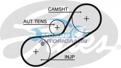 Timing Belt