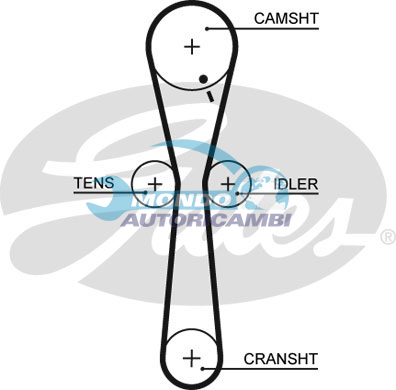 Timing Belt