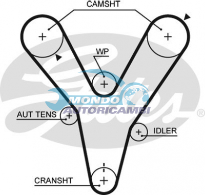 Timing Belt