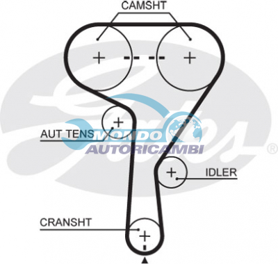 Timing Belt