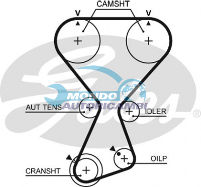 Timing Belt