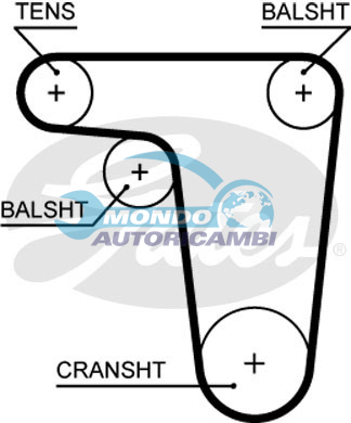 Timing Belt