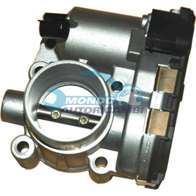 THROTTLE BODY