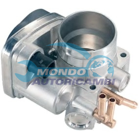 THROTTLE BODY