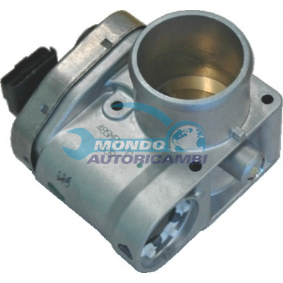 THROTTLE BODY