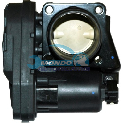 THROTTLE BODY