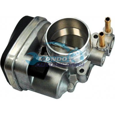 Throttle body